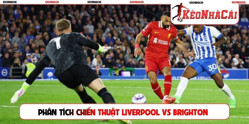 Phân tích chiến thuật Liverpool vs Brighton